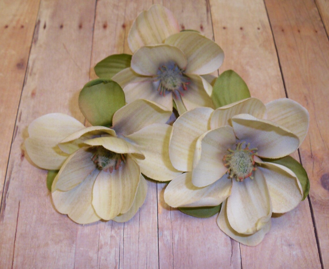 Silk Flowers Three Silk Magnolia in Antique Cream 3 Inches Etsy