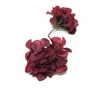 Two Burgundy Red Artificial Hydrangea Heads - Artificial Flowers, Silk Flowers, Flower Crown, Hair Accessories, Wedding, Millinery, Corsage
