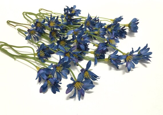 One Lot Royal Blue Wild Daisy Stems One Lot Royal Blue Wild Daisy Stems