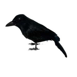 May include: A black decorative crow figurine with a detailed, feathered texture. The crow has a dark beak and stands on small, detailed feet. The bird is a popular Halloween or gothic-themed decoration.
