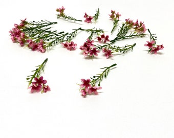 20 MAUVE Artificial WAXFLOWER Stems - Artificial Flowers, Silk Flowers, Flower Crown, Corsage, Boutonniere, Hair Accessories, Wedding, Hat