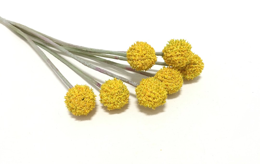 Yellow Billy Button Spray Craspedia Artificial Flowers Etsy