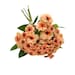 see more listings in the Roses/Dahlias/Daisies section