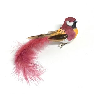 May include: A small, decorative bird with a pink feathered tail. The bird is brown, yellow, and white with a black beak.
