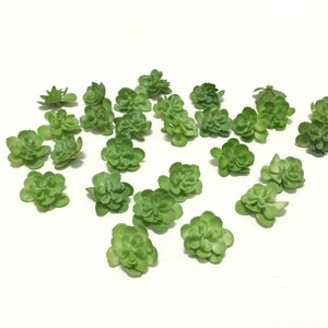 25 Tiny GREEN Sedum Blossoms - Artificial Flowers, Flower Crown, Terrarium, Fairy Garden, Millinery, Hair Accessories, Flower Arrangement