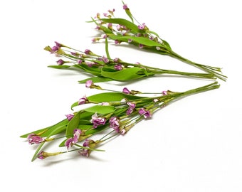 May include: A bunch of artificial flowers with pink and white blossoms and green leaves.