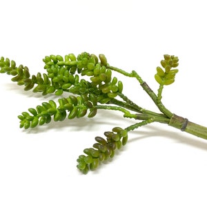 Artificial Donkey Tail Succulent Pick -Artificial Flowers, Flower Crown, Terrarium, Fairy Garden, Hair Accessories, Succulent Garden, Wreath