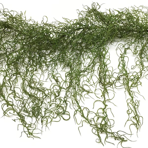 Spanish Moss Garland Etsy