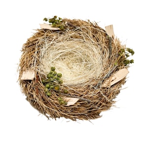 Straw and Sisal Artificial Bird Nest - Wedding Decor, Bird Cage, Bird Eggs, Christmas  Decoration, Ornament, Baby Shower, Bird Cage, Diorama