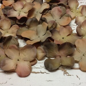 50 Dry Look Hydrangea Blossoms in Shades of Brown Artificial Flowers, Silk Flowers, Scrapbooking, Wedding, Flower Crown, Millinery image 5