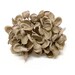 see more listings in the Hydrangea/Blossoms section