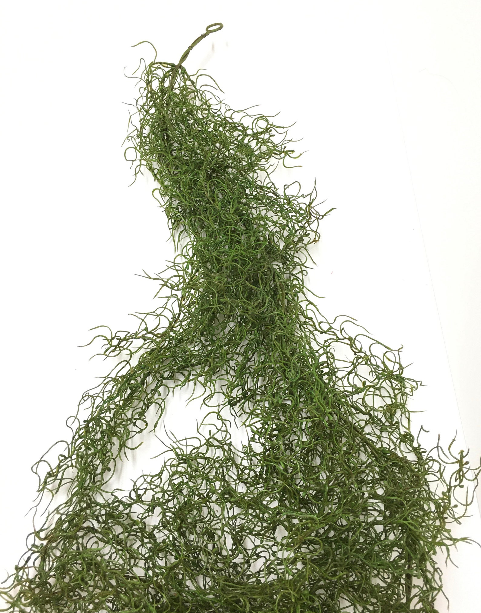 4 Ft Green Artificial Spanish Moss Garland Gypsophila Etsy