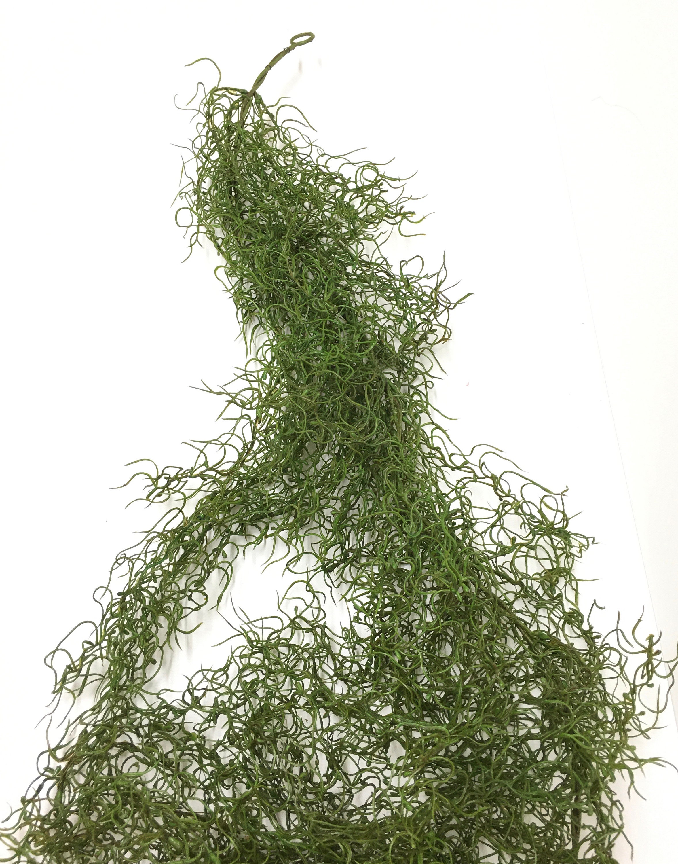 4 Ft Green Artificial Spanish Moss Garland Gypsophila Etsy