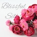 Blissful Silks