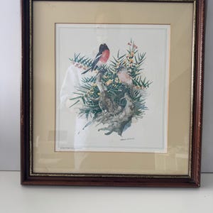 May include: A framed print depicting two birds amongst green foliage and yellow flowers. The birds display red, black, and grey plumage. The print is set within a brown wooden frame and a cream-coloured mount.