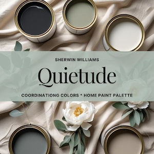 2025 Color of the Year HGTV Sherwin Williams Quietude Color Palette Whole House Paint Palette 2025 Color Palette SW 6212 Quietude Colour