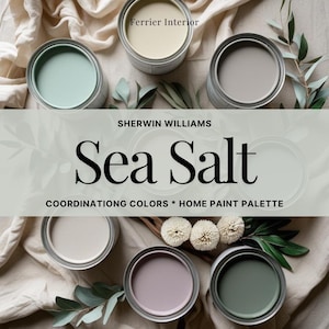Sherwin Williams Sea Salt Paint Color Palette: Whole Home Color Scheme (PDF Download