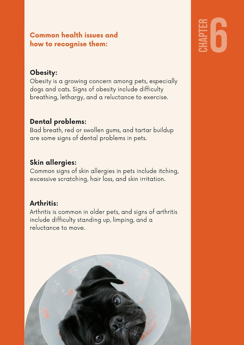 Puede incluir: Una p&aacute;gina de una gu&iacute;a de salud para mascotas con texto sobre problemas de salud comunes en mascotas, incluyendo obesidad, problemas dentales, alergias en la piel y artritis. Un perro negro con un cono est&aacute; en la parte inferior de la p&aacute;gina.
