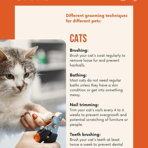Puede incluir: Gr&aacute;fico informativo naranja y blanco sobre el aseo de los gatos. La imagen muestra un gato siendo recortado con corta&uacute;&ntilde;as. El texto incluye instrucciones de cepillado, ba&ntilde;o, corte de u&ntilde;as y cepillado de dientes.