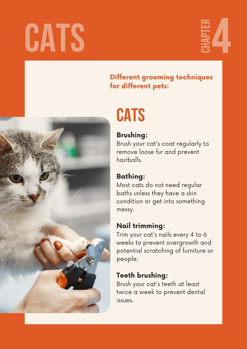 Puede incluir: Gr&aacute;fico informativo naranja y blanco sobre el aseo de los gatos. La imagen muestra un gato siendo recortado con corta&uacute;&ntilde;as. El texto incluye instrucciones de cepillado, ba&ntilde;o, corte de u&ntilde;as y cepillado de dientes.