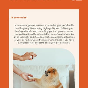 Puede incluir: Gr&aacute;fico naranja y blanco con la palabra &laquo;CONCLUSION&raquo; y el n&uacute;mero &laquo;2&raquo;. Un peque&ntilde;o perro pomerania de color canela da la pata a una persona. El texto trata sobre la nutrici&oacute;n de las mascotas.