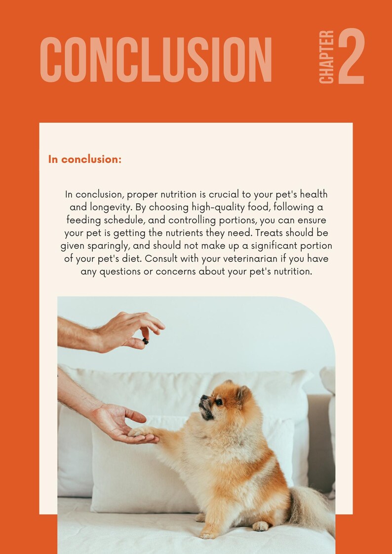 Puede incluir: Gr&aacute;fico naranja y blanco con la palabra &laquo;CONCLUSION&raquo; y el n&uacute;mero &laquo;2&raquo;. Un peque&ntilde;o perro pomerania de color canela da la pata a una persona. El texto trata sobre la nutrici&oacute;n de las mascotas.
