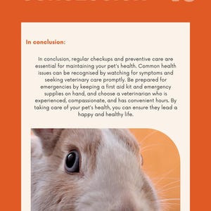 Puede incluir: Una portada de libro naranja y blanca con la palabra &laquo;CONCLUSION&raquo; en la parte superior. El cap&iacute;tulo 6 est&aacute; en la esquina superior derecha. La imagen incluye un primer plano de un conejo y texto sobre la salud de las mascotas.
