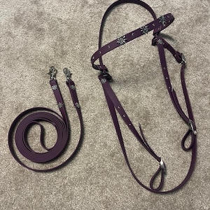 Biothane bridle