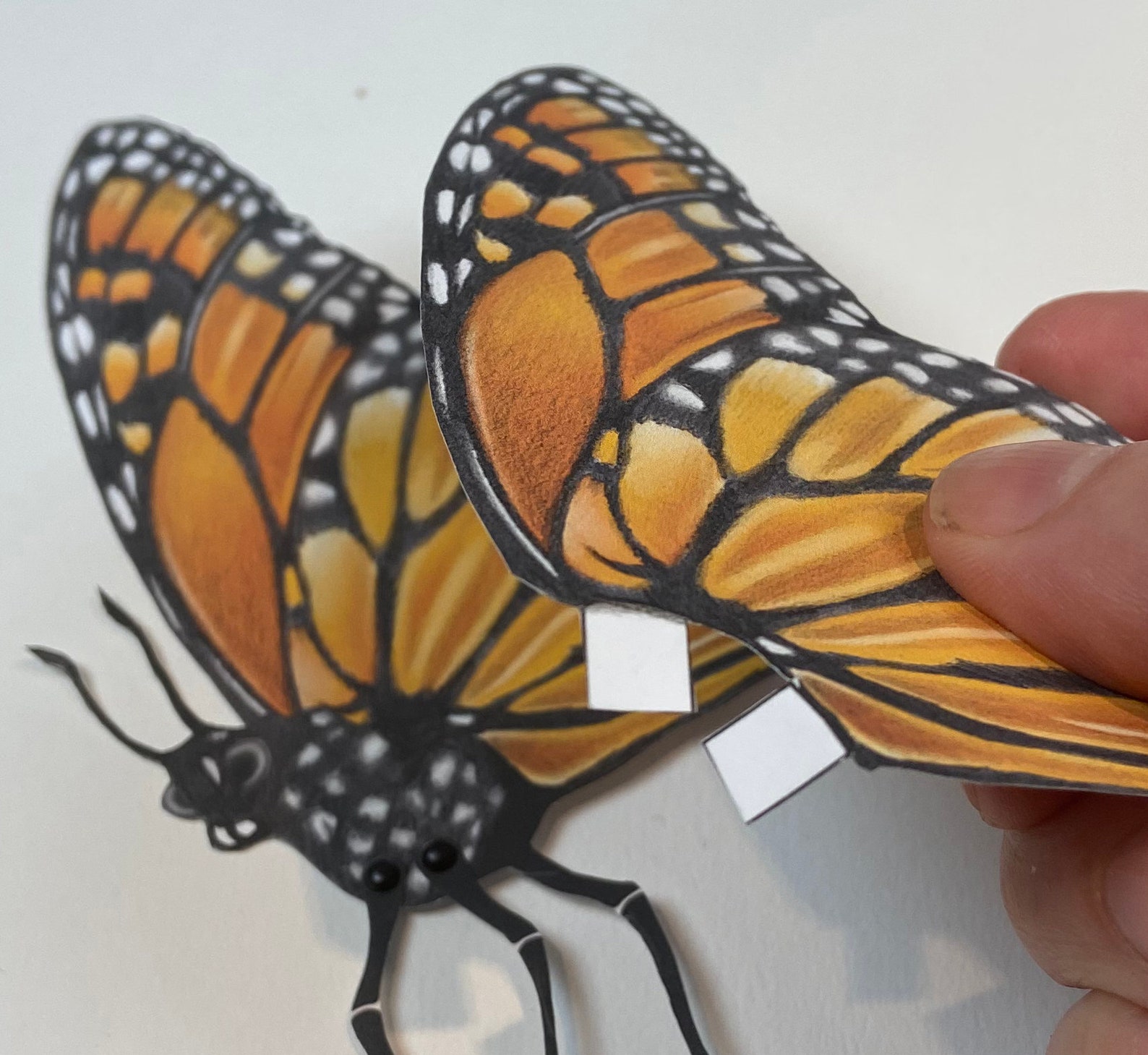 Monarch Butterfly DIY Kit Etsy Denmark