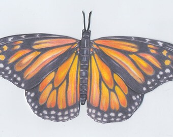 Monarch butterfly paper puppet
