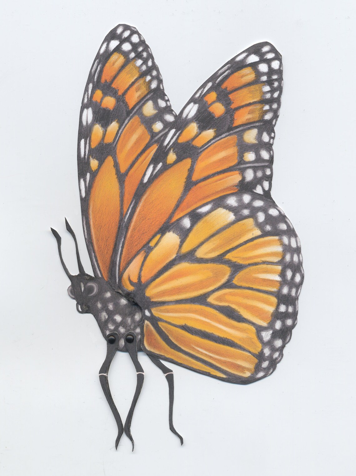 Monarch Butterfly DIY Kit Etsy Denmark