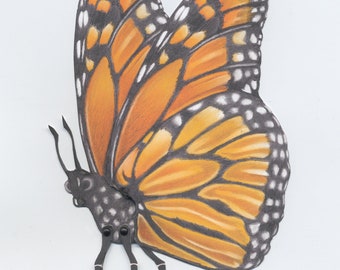 Monarch butterfly DIY kit