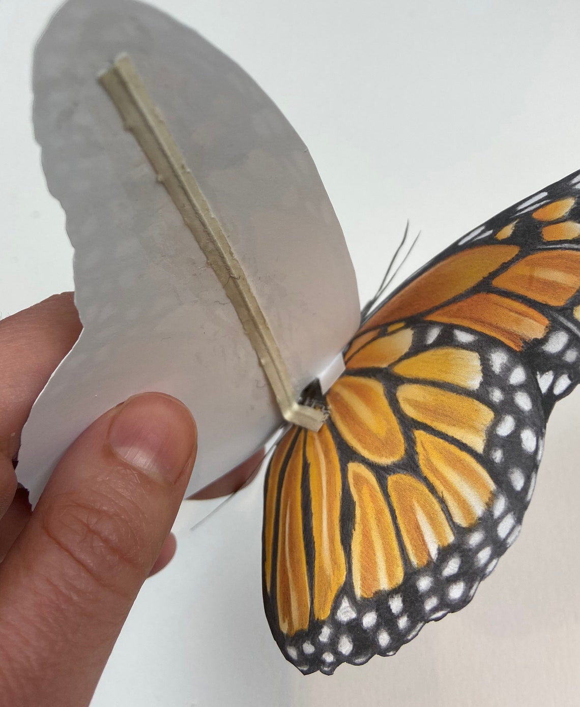 Monarch Butterfly DIY Kit Etsy Denmark