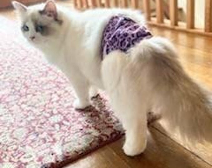 Featured listing image: Cat Diapers Stud Pants Washable for Incontinence in Male and Female Feline Sprayers Piddlers Unisex 4 Sizes