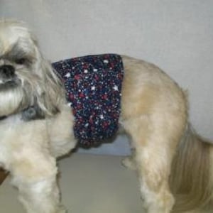 May include: A dog belly band featuring a dark blue fabric base with a repeating pattern of small white stars and red circular accents. The wrap is secured around the midsection of a long-haired, light-colored dog with a gray and white face.