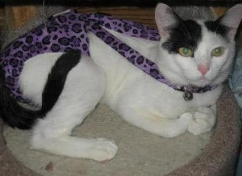 SUSPENDERS Detachable for Cat Diapers Stud Pants Fabric Clip Etsy