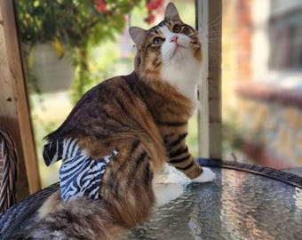 Cat Diapers Stud Pants washable for Incontinence in Male and Female Feline Sprayers Piddling Unisex Reusable