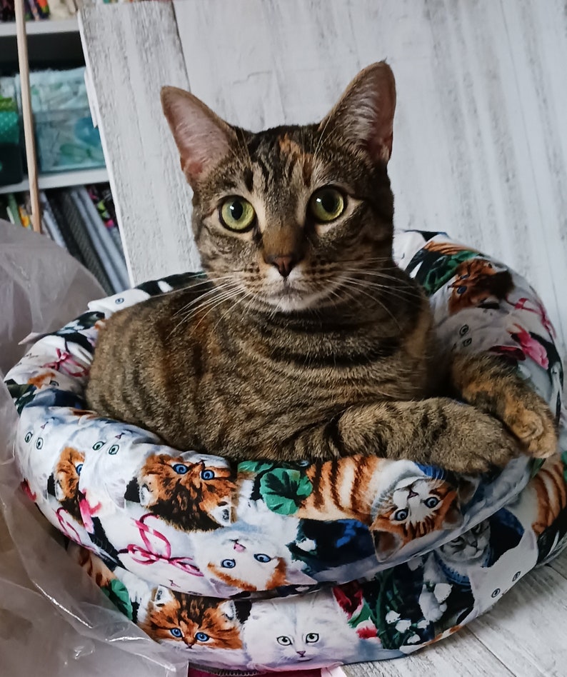 May include: A tabby cat with green eyes rests in a round cat bed. The bed is patterned with various cat faces in shades of orange, white, and brown against a white background. The cat's fur is brown and black, and it is looking directly at the camera.