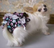 FEMALE Doggie Diapers Bitches Britches Sanitary Bladder Panty Washable Garment Potty Training 5 Sizes
