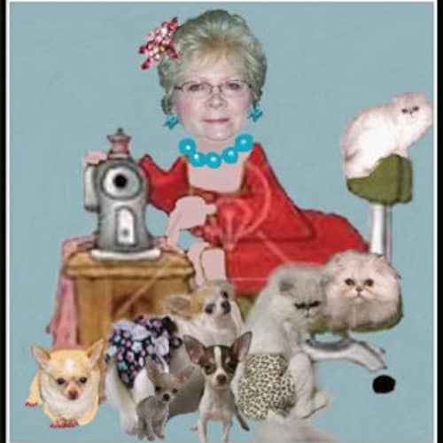 Storie Di Gatti, Foto, Immagini Stampabili, Arte Vintage, Effimeri Classici - Foto 4