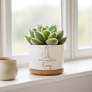 May include: A white ceramic planter with a bamboo saucer containing a fuzzy green succulent. The planter features a black line drawing of a cat, the text "NEVER FORGOTTEN" in block letters, and the name "lucy" in a cursive script font.