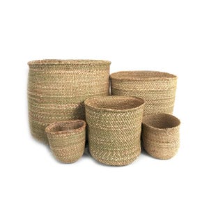 May include: Set of five woven baskets in various sizes, made of natural materials, with a light brown and green color scheme. The baskets are arranged in a row, with the largest basket on the left and the smallest basket on the right.