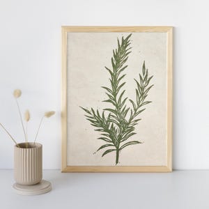 Linoprint botanique au romarin - Impression d'art d'herbes aromatiques sculptées à la main, décoration murale inspirée de la nature, cadeau de verdure pour les amateurs de jardin et de cuisine