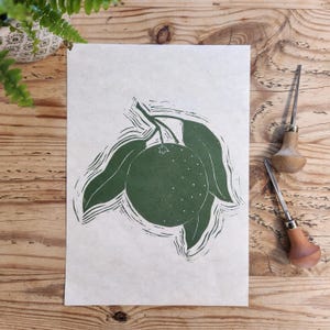 Orange Linoprint A4 – Botanical Fruit Print, Handmade Nature Wall Art, Kitchen Decor, Gift for Gardeners