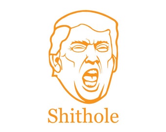 Orange Shithole Trump Vinyl Sticker/Decal