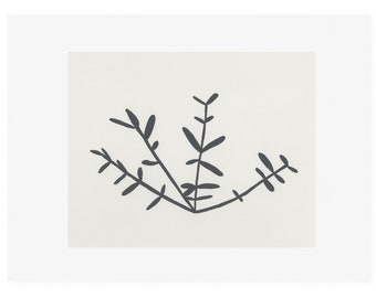 Handmade original screenprint, plants, stems, ink drawing, black and white on finest quality Fabriano Paper