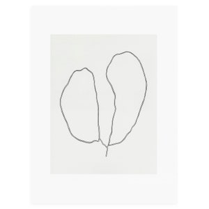Black and White Botanical Print - Botanical Line Drawing - Modern Botanical Print - Handmade Botanical Print - Minimal Abstract Print