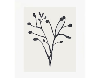 Handmade botanical print, plants, stems, screenprint, black and white on finest quality Fabriano Paper