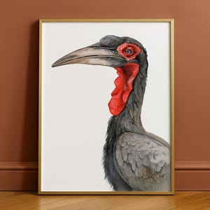 Stampa artistica da parete con corvo africano / Illustrazione di animali ad acquerello / Poster di uccelli colorati / Arte di animali selvatici esotici / Decorazione da parete botanica