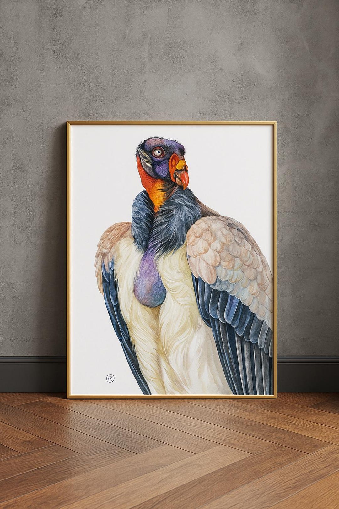 King Vulture Wall Art Print | Watercolor Animal Illustration | Colorful ...